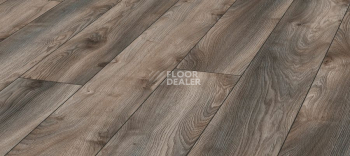 Ламинат Kronotex Mammut d4792 Дуб Серый Макро фото 1 | FLOORDEALER