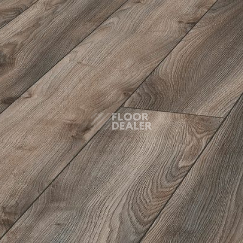 Ламинат Kronotex Mammut d4792 Дуб Серый Макро фото 1 | FLOORDEALER