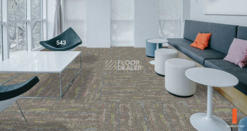 Standard Carpets LAX 543 фото 2 | FLOORDEALER
