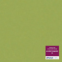 Линолеум Tarkett Acczent Esquisse 03  | FLOORDEALER