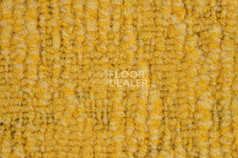 IVC Animate 140 фото 3 | FLOORDEALER