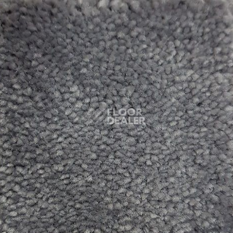 Ковролин Condor Carpets Chablis 308 фото 1 | FLOORDEALER