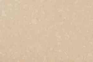 Линолеум DLV Flooring Medical Safety 8614 фото  | FLOORDEALER