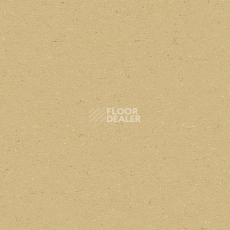 Линолеум Gerflor Colorette 0071 Straw Beige фото 1 | FLOORDEALER