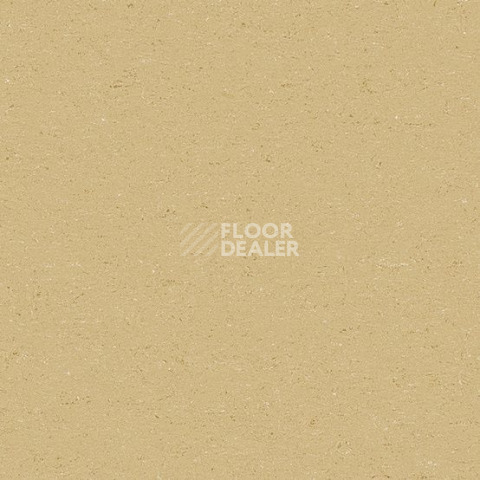 Линолеум Gerflor Colorette 0071 Straw Beige фото 1 | FLOORDEALER