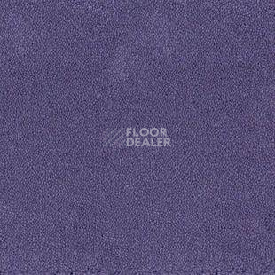 Ковролин Desso Asteranne 3111 фото 1 | FLOORDEALER