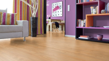 Kronotex Robusto 12мм d4720 Кастанеа фото 4 | FLOORDEALER