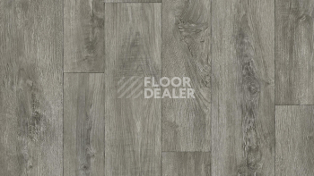 Линолеум Tarkett Gladiator DIAKIRI 3 фото 1 | FLOORDEALER