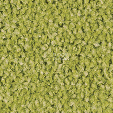 Ковролин Sintelon Spark 50554 фото 1 | FLOORDEALER