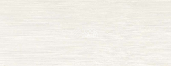 Плинтус Плинтус ковровый без фурнитуры Dollken Tle-55 1013 фото 2 | FLOORDEALER