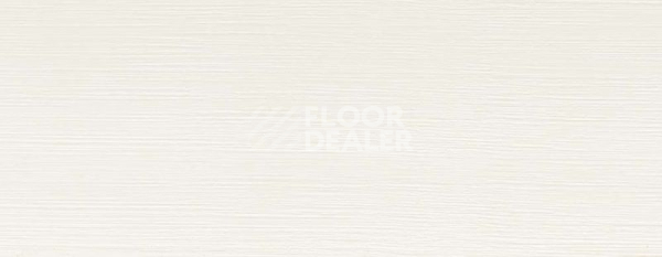 Плинтус Плинтус ковровый без фурнитуры Dollken Tle-55 1013 фото 2 | FLOORDEALER