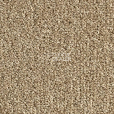 Ковролин Balsan Bolero 640 фото 1 | FLOORDEALER