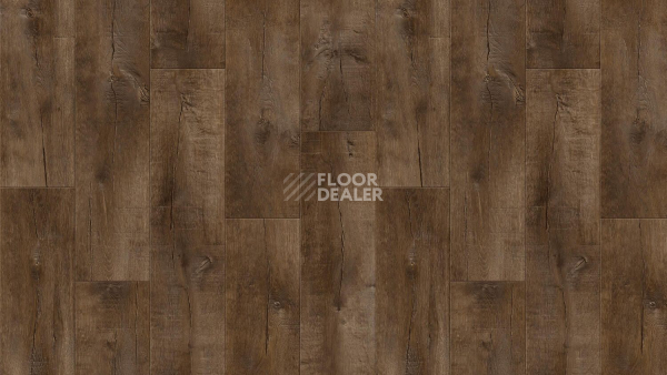 Линолеум Tarkett Gladiator Saratoga 3 фото 1 | FLOORDEALER