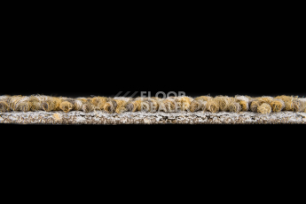 Desso Recharge ac 41 2024 фото 6 | FLOORDEALER