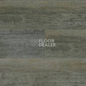 Линолеум Polyflor Expona Wood 6146 фото 1 | FLOORDEALER