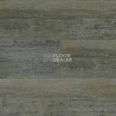Линолеум Polyflor Expona Wood 6146 фото 1 | FLOORDEALER