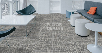 Standard Carpets Casini Casini 571 фото 2 | FLOORDEALER