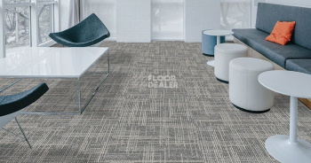 Standard Carpets Casini Casini 571 фото 2 | FLOORDEALER