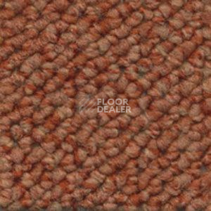 Ковролин Dura Loop 341 фото 1 | FLOORDEALER