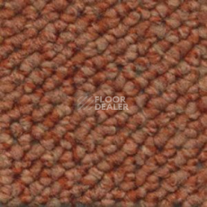Ковролин Dura Loop 341 фото 1 | FLOORDEALER