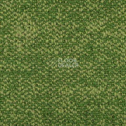 Haima Coral 30 фото 2 | FLOORDEALER