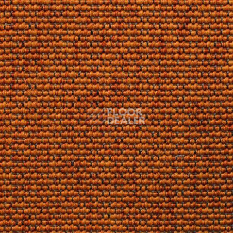Ковролин Carpet Concept Eco Iqu 8262 фото 1 | FLOORDEALER