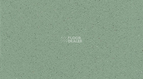 Линолеум Gerflor Tarasafe Standard 7508_Avocado фото 1 | FLOORDEALER