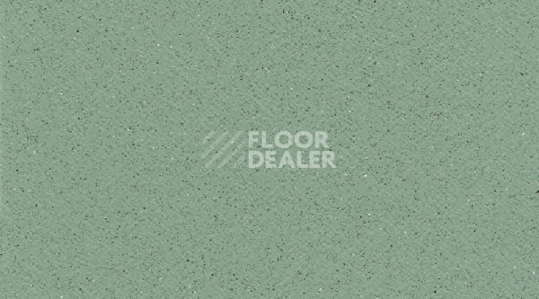 Линолеум Gerflor Tarasafe Standard 7508_Avocado фото 1 | FLOORDEALER