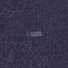 Ковролин Shaw Bradberry 30 696 фото 1 | FLOORDEALER