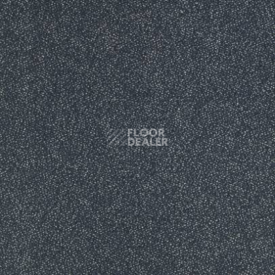 Ковролин Balsan Equinoxe 957 фото 1 | FLOORDEALER