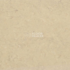 Линолеум Gerflor Marmorette DLW 2.5mm 0243 Marble Beige фото 1 | FLOORDEALER