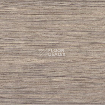 Линолеум Gerflor Taralay Initial Compact (wood) 0799 Filament Light фото 1 | FLOORDEALER