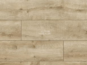 Ламинат Classen Arteo 8XL WR 54820 Picos Oak  /8XL фото 1 | FLOORDEALER