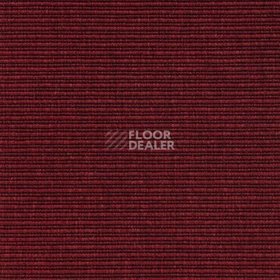 Ковролин Carpet Concept Eco 2 6727 фото 1 | FLOORDEALER