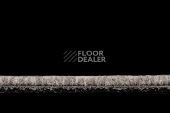 IVC Alternate 731 фото 6 | FLOORDEALER