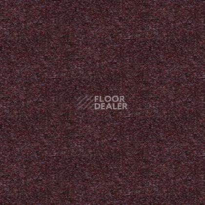 Ковролин Tapibel Spirit 8880 фото 1 | FLOORDEALER