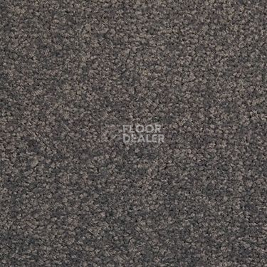 Ковровая плитка Modulyss Cambridge 907 фото 1 | FLOORDEALER