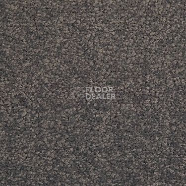 Ковровая плитка Modulyss Cambridge 907 фото 1 | FLOORDEALER