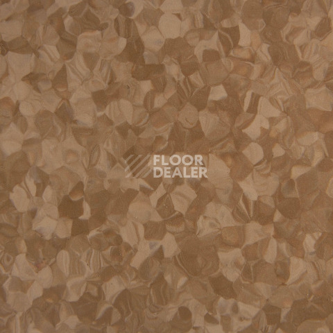 Tarkett iq Melodia 2618 фото 3 | FLOORDEALER