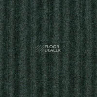 Ковролин Sintelon Ekvator 54753 фото 1 | FLOORDEALER