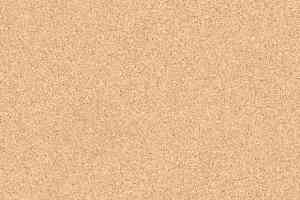 Линолеум Tarkett Primo Plus 304 фото  | FLOORDEALER