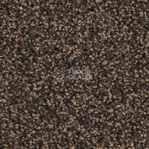 Ковролин Balsan Script 790 фото 1 | FLOORDEALER