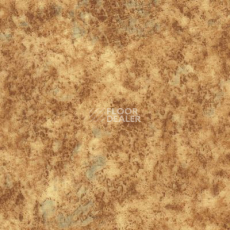 Линолеум Novoflor Standard 3100_11 фото 1 | FLOORDEALER