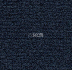 Грязезащитные покрытия Forbo Coral в плитке 4737 Prussian Blue фото 1 | FLOORDEALER