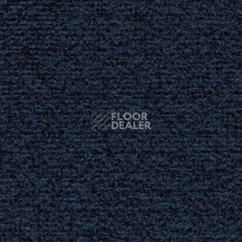 Грязезащитные покрытия Forbo Coral в плитке 4737 Prussian Blue фото 1 | FLOORDEALER