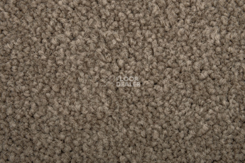 Standard Carpets Mountain View 4398 фото 3 | FLOORDEALER