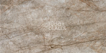 Керамогранит Rain Forest 60X120 Rain Forest Natural Mt 60X120 Rect фото 1 | FLOORDEALER