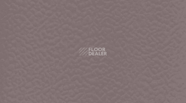 Линолеум Gerflor Taraflex evolution Uni 3764_Taupe фото 1 | FLOORDEALER