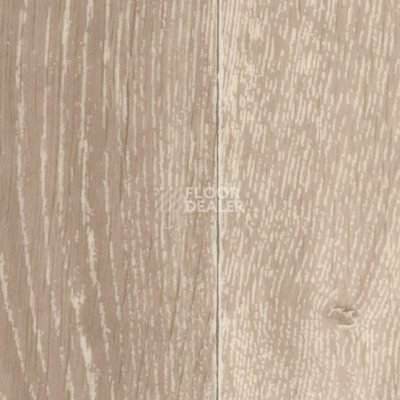 Линолеум Gerflor Taralay Initial Compact (wood) 0698 Noma Naturel фото 1 | FLOORDEALER