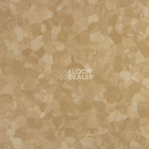 Tarkett iq Melodia 2620 фото 3 | FLOORDEALER